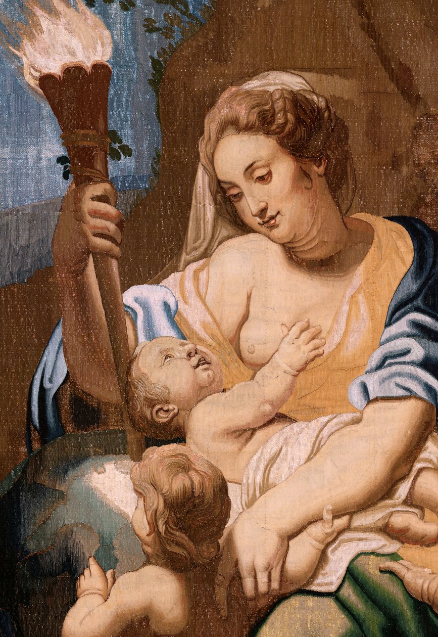 Arazzo fiammingo. Serie Il Trionfo dell