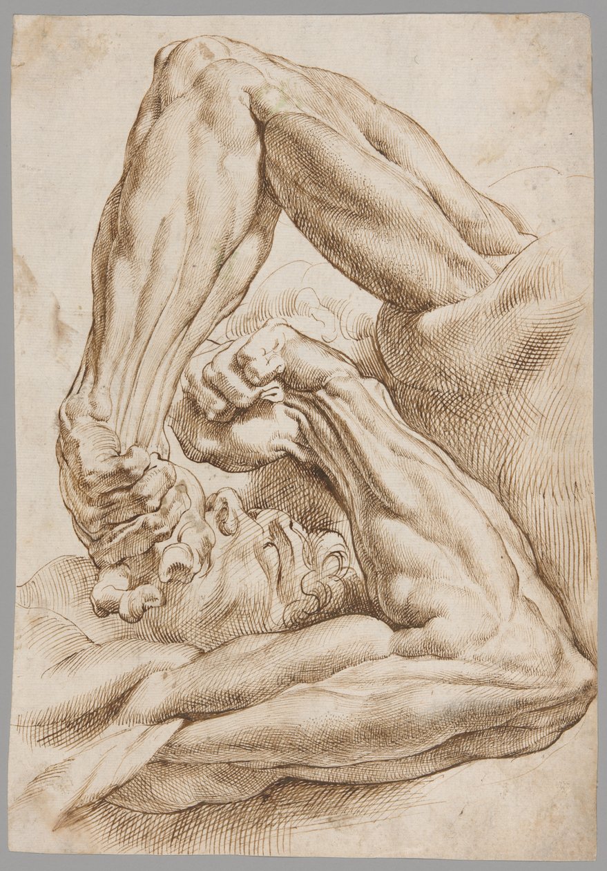 Foglio di studi anatomici da Peter Paul Rubens