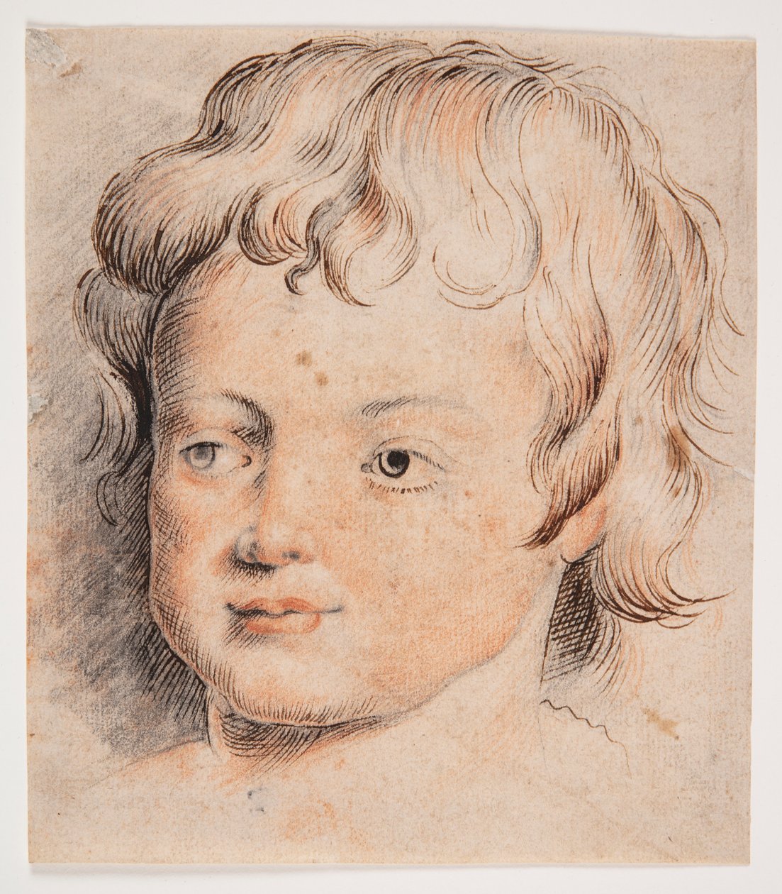 Testa di bambino da Peter Paul Rubens