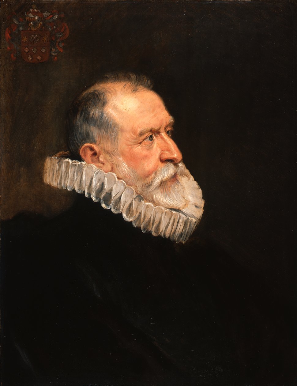 Ritratto di un uomo anziano da Peter Paul Rubens