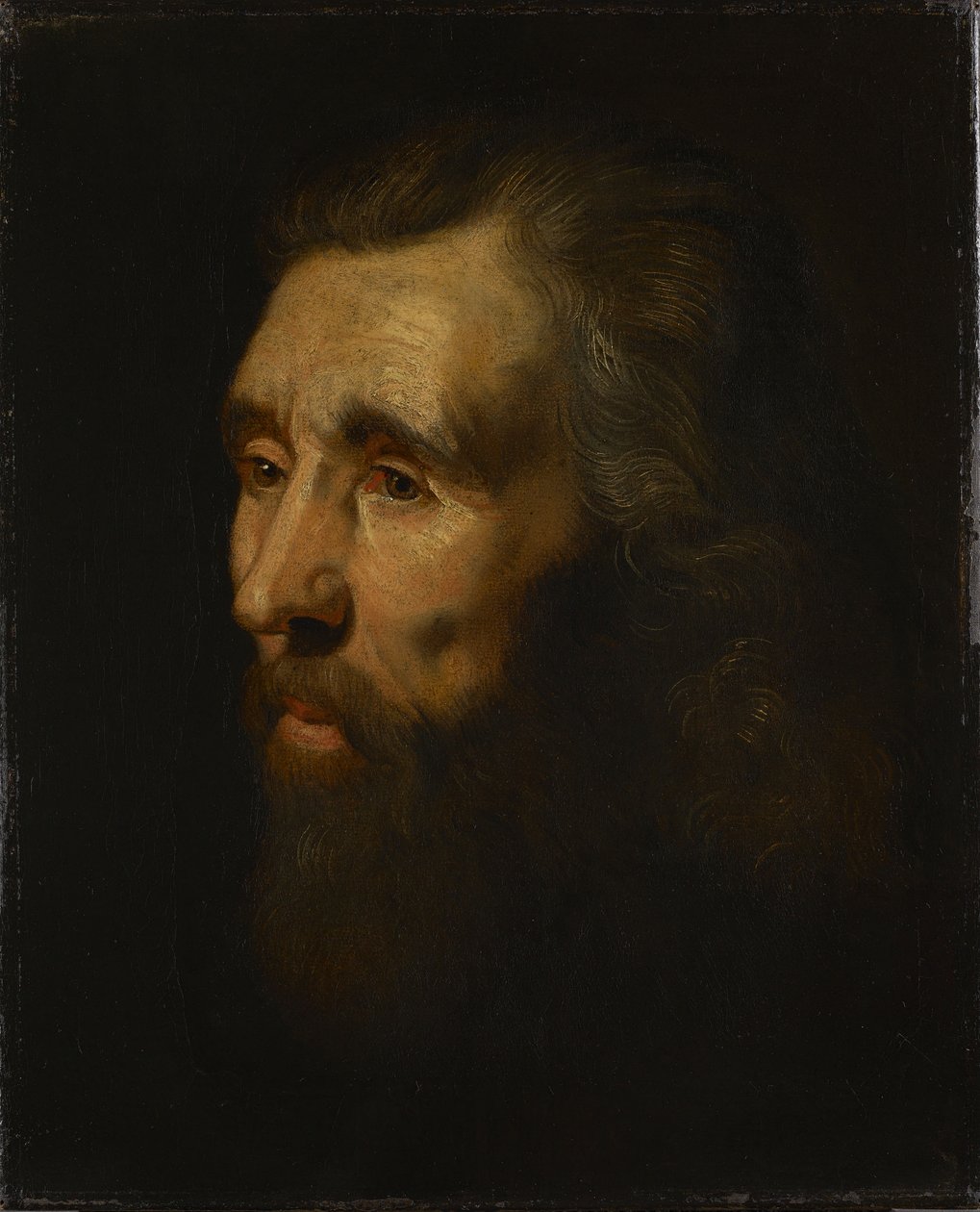 Testa di un uomo barbuto da Peter Paul Rubens