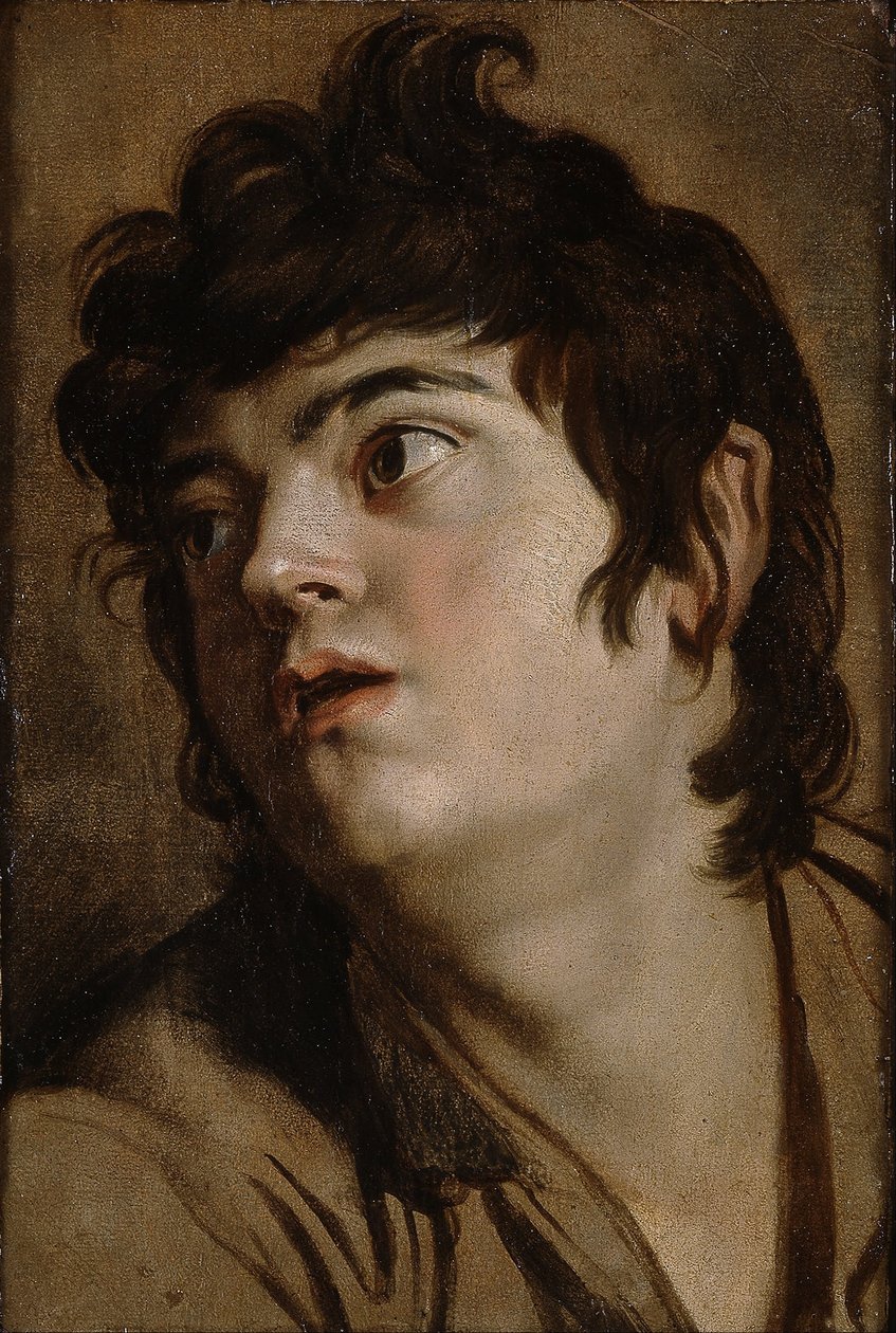 Testa di un giovane uomo da Peter Paul Rubens