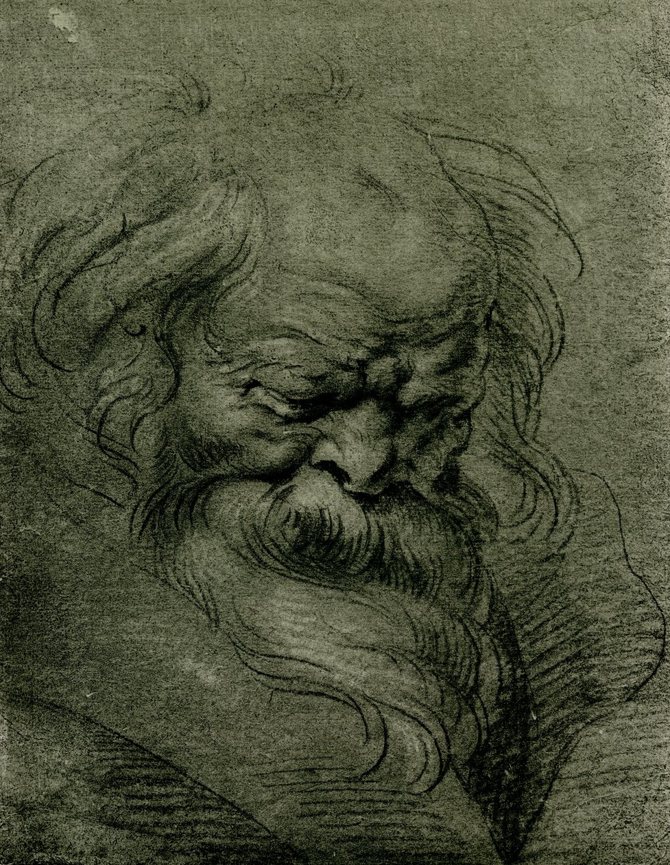 Studio di testa per Bacco da Peter Paul Rubens