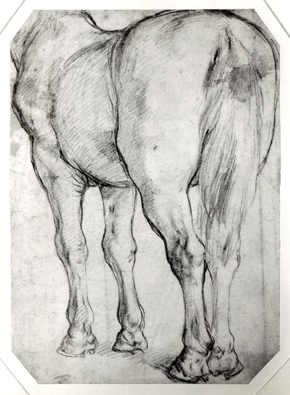 Retro del cavallo da Peter Paul Rubens