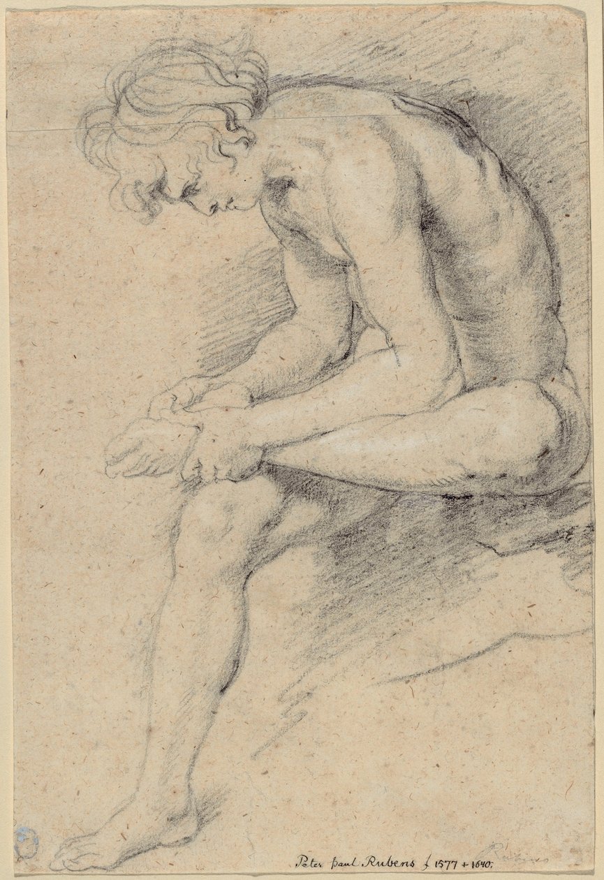 Giovane Nudo nella Posizione dello Spinario da Peter Paul Rubens