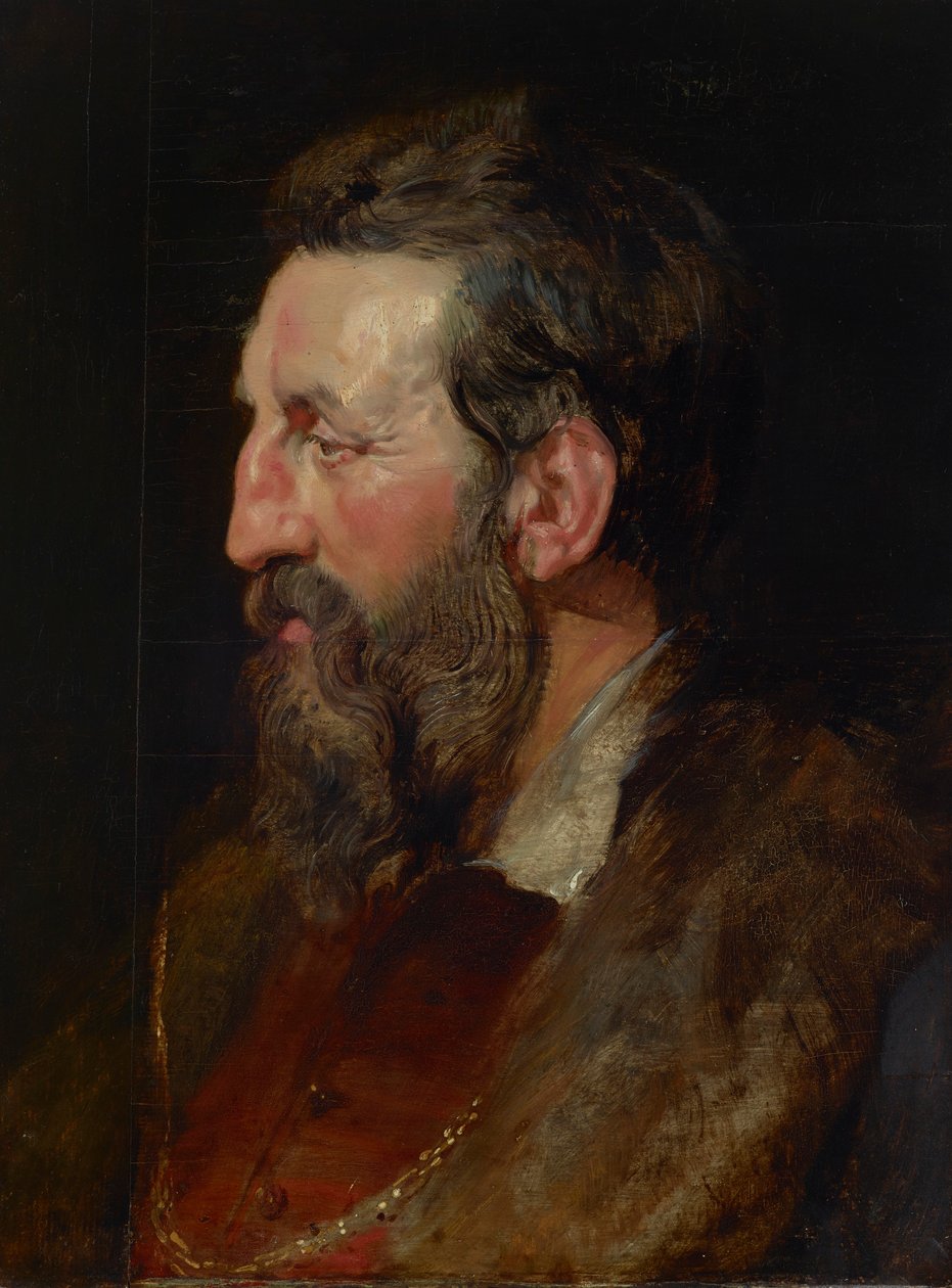 Ritratto di un Uomo da Peter Paul Rubens