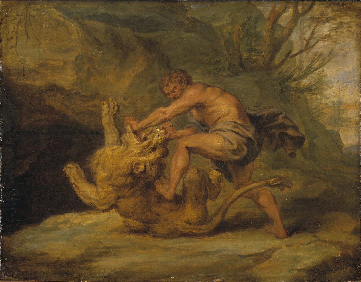 Sansone e il leone. Studio da Peter Paul Rubens