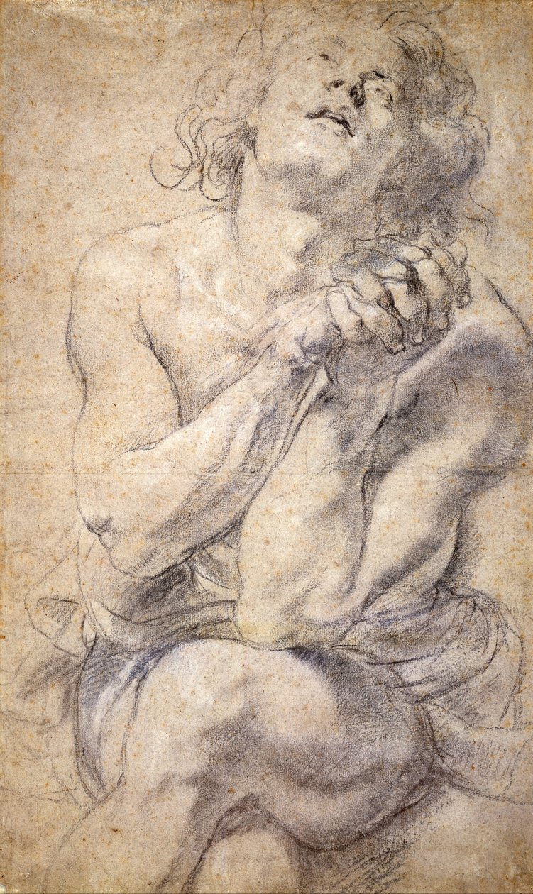 Giovane maschio seduto (Studio per Daniele) da Peter Paul Rubens