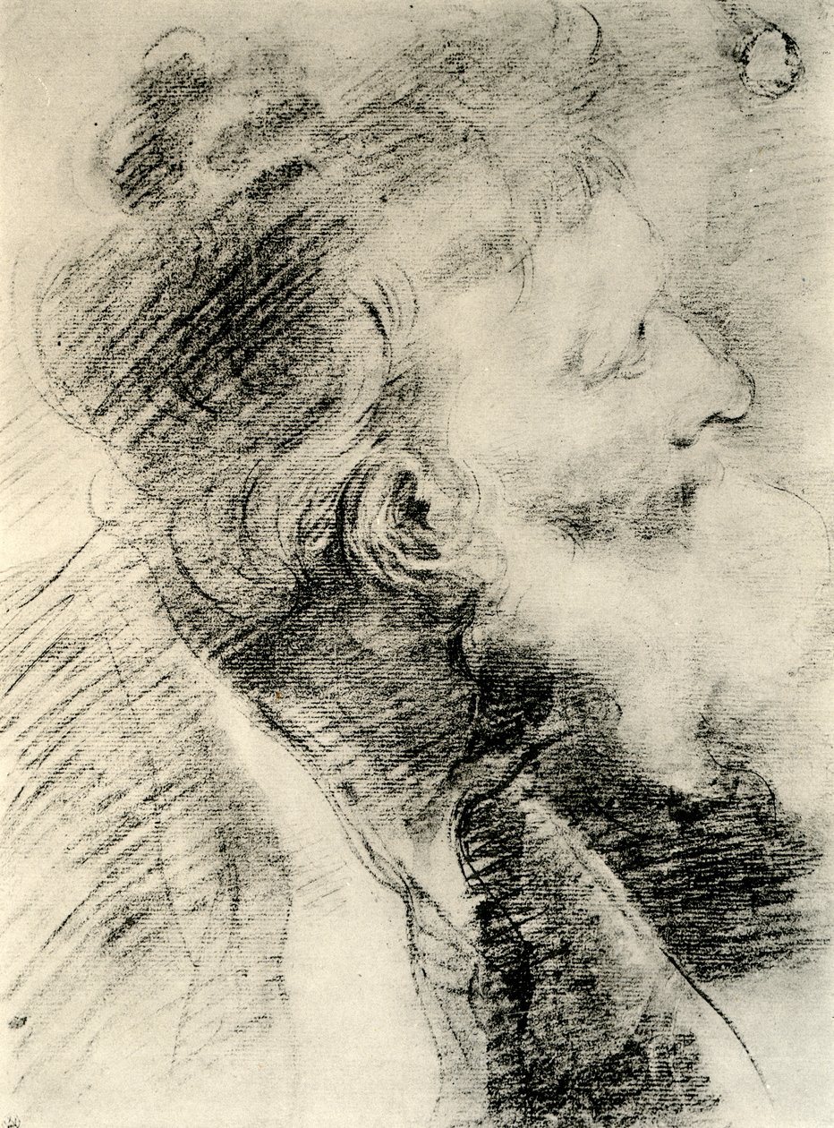 Studio per la Testa di un Vecchio da Peter Paul Rubens