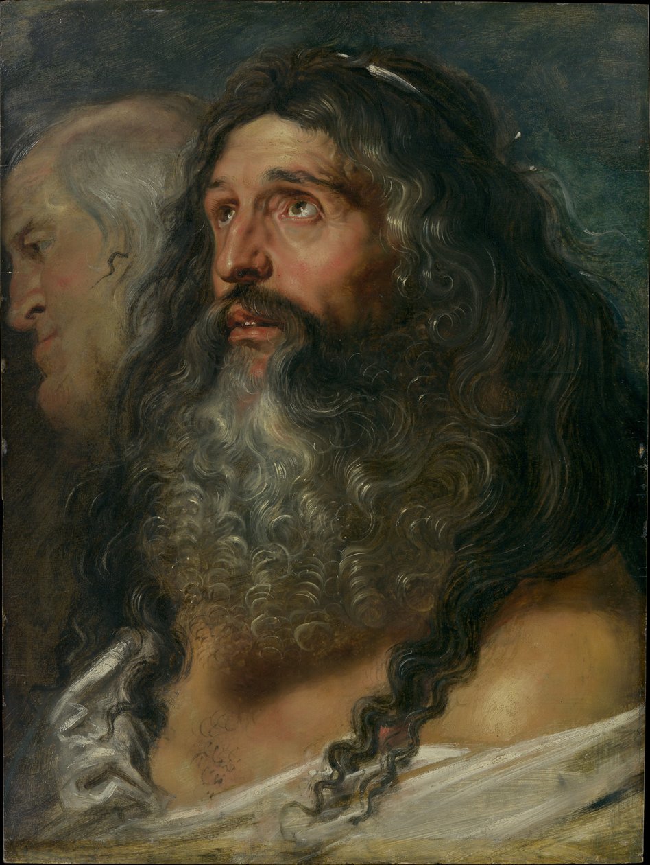 Studio di due teste da Peter Paul Rubens