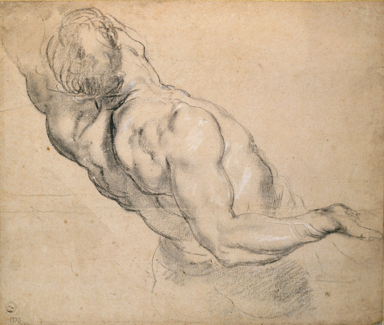 Studio di un torso maschile nudo da Peter Paul Rubens