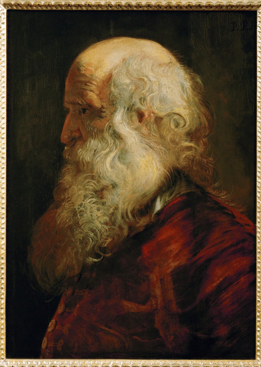 Studio di un vecchio, 1610 circa (dipinto su legno di quercia) da Peter Paul Rubens