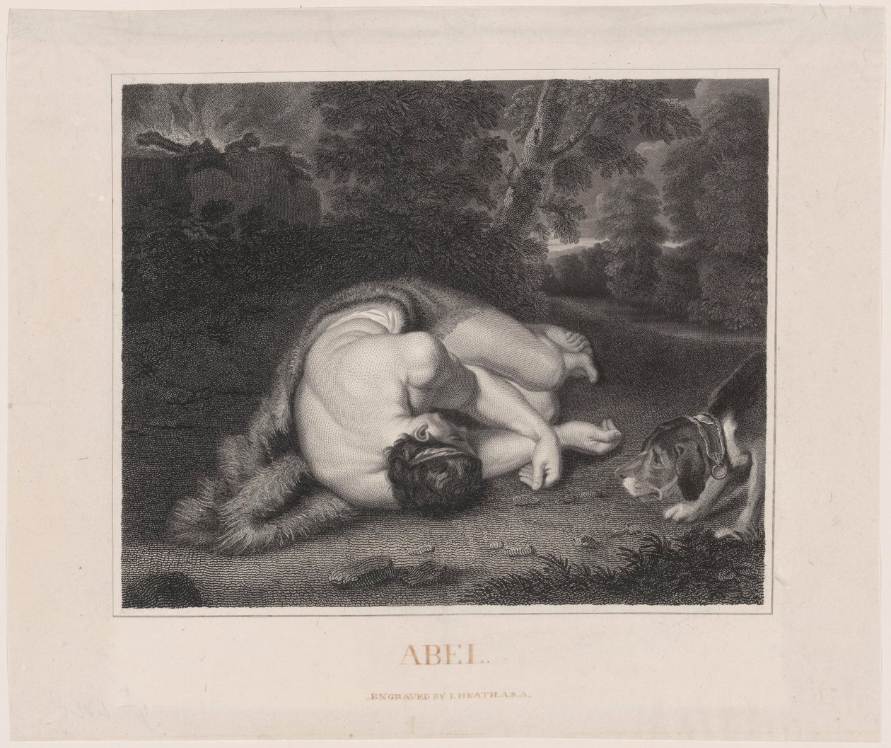 La morte di Abele da Peter Paul Rubens
