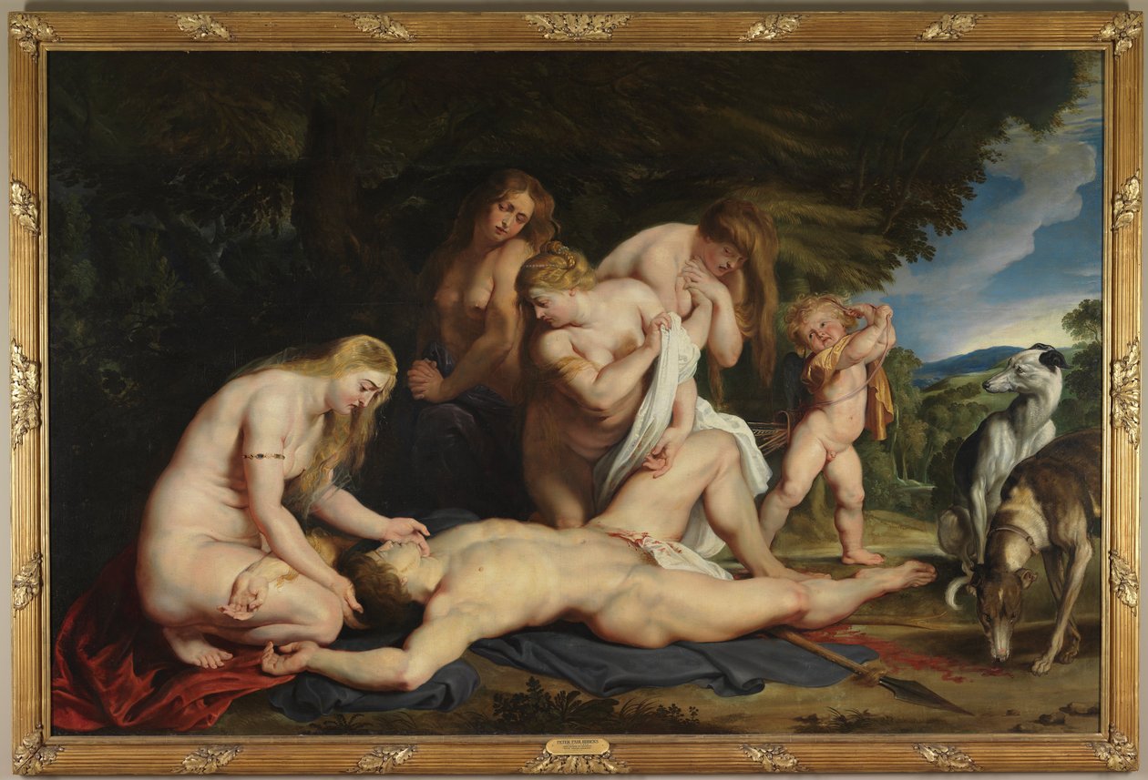 La morte di Adone (con Venere, Cupido e le Tre Grazie) da Peter Paul Rubens