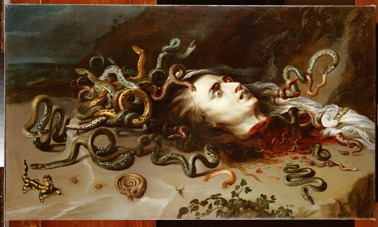 La testa di Medusa, 1618 circa (olio su tela) da Peter Paul Rubens