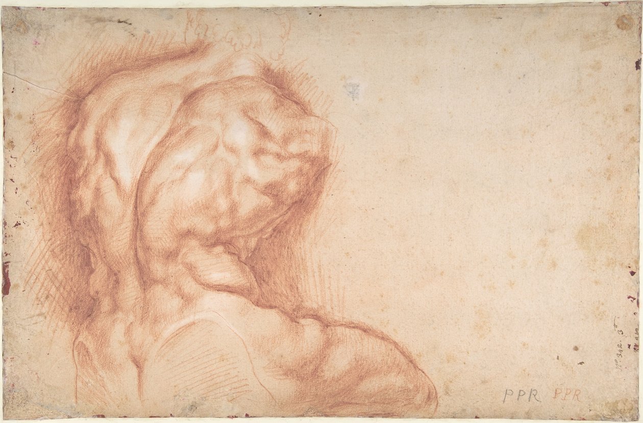 La Vergine adorata dai santi (recto); Studio del Torso del Belvedere (verso) da Peter Paul Rubens