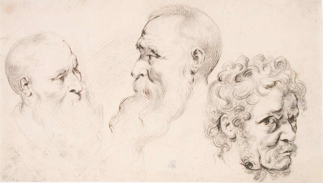 Tre teste maschili da Peter Paul Rubens