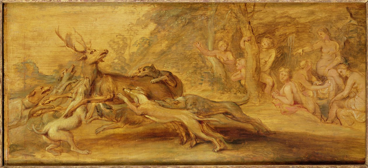Immagine sconosciuta da Peter Paul Rubens