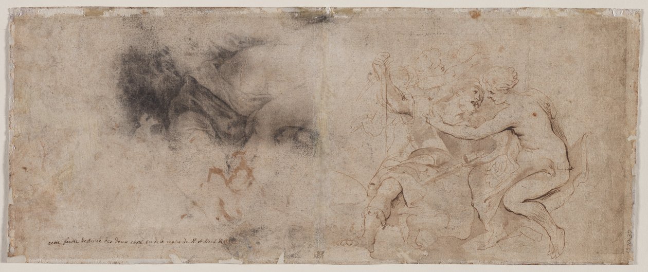 Venere Disarma Marte, Studio di Drappeggio (verso) da Peter Paul Rubens