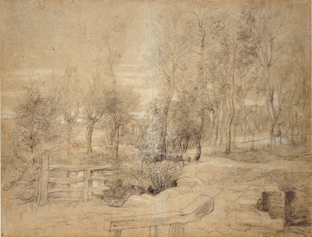 Scena boschiva da Peter Paul Rubens