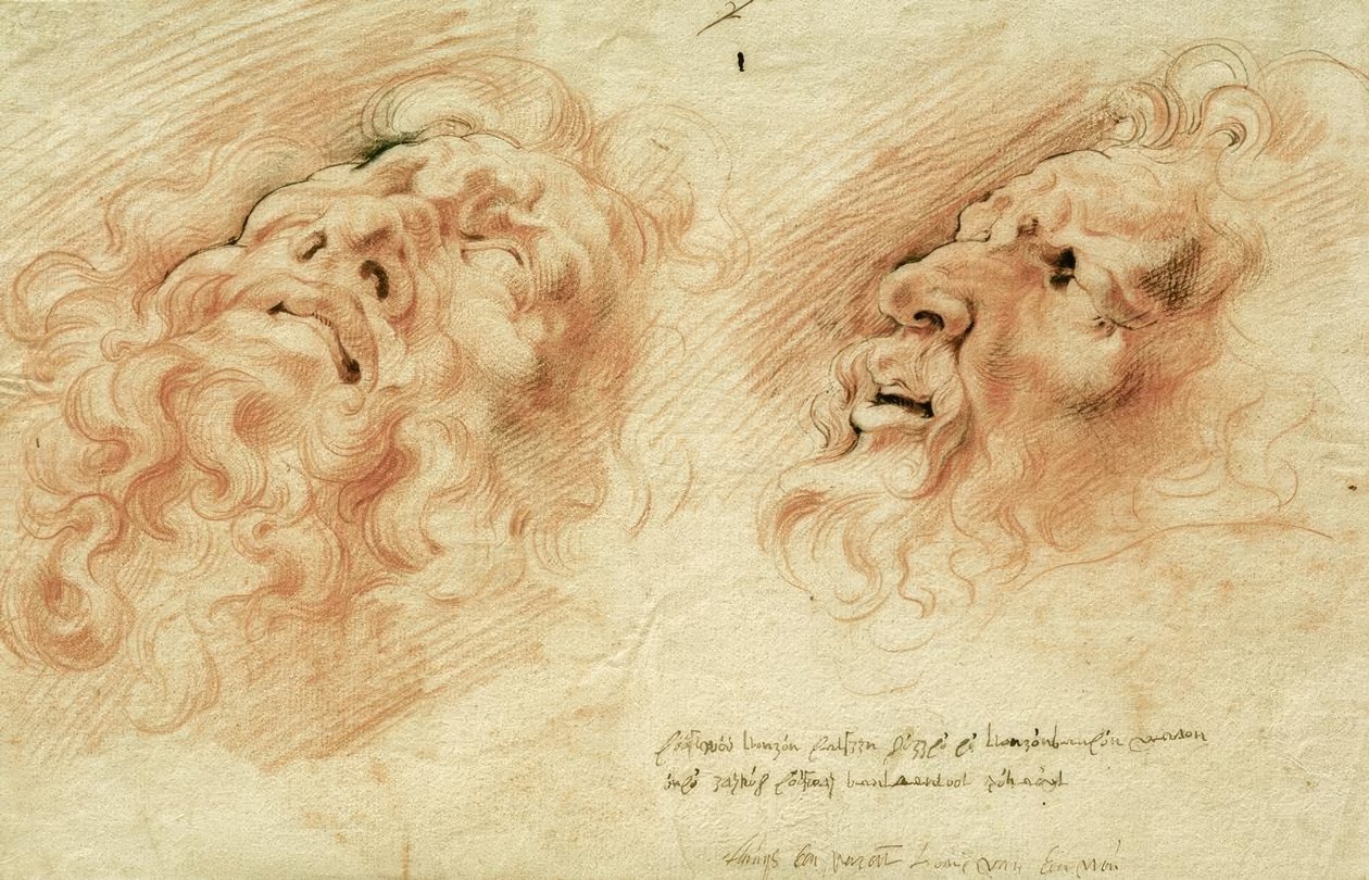 Due studi della testa del Laocoonte da Peter Paul Rubens