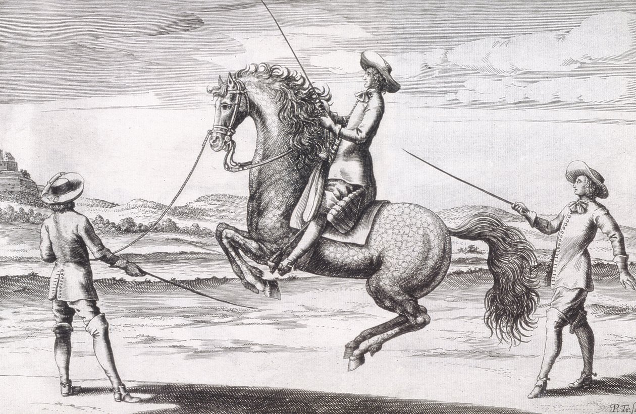 Illustrazione di un cavallo en Croupade da Nuovo Trattato per l