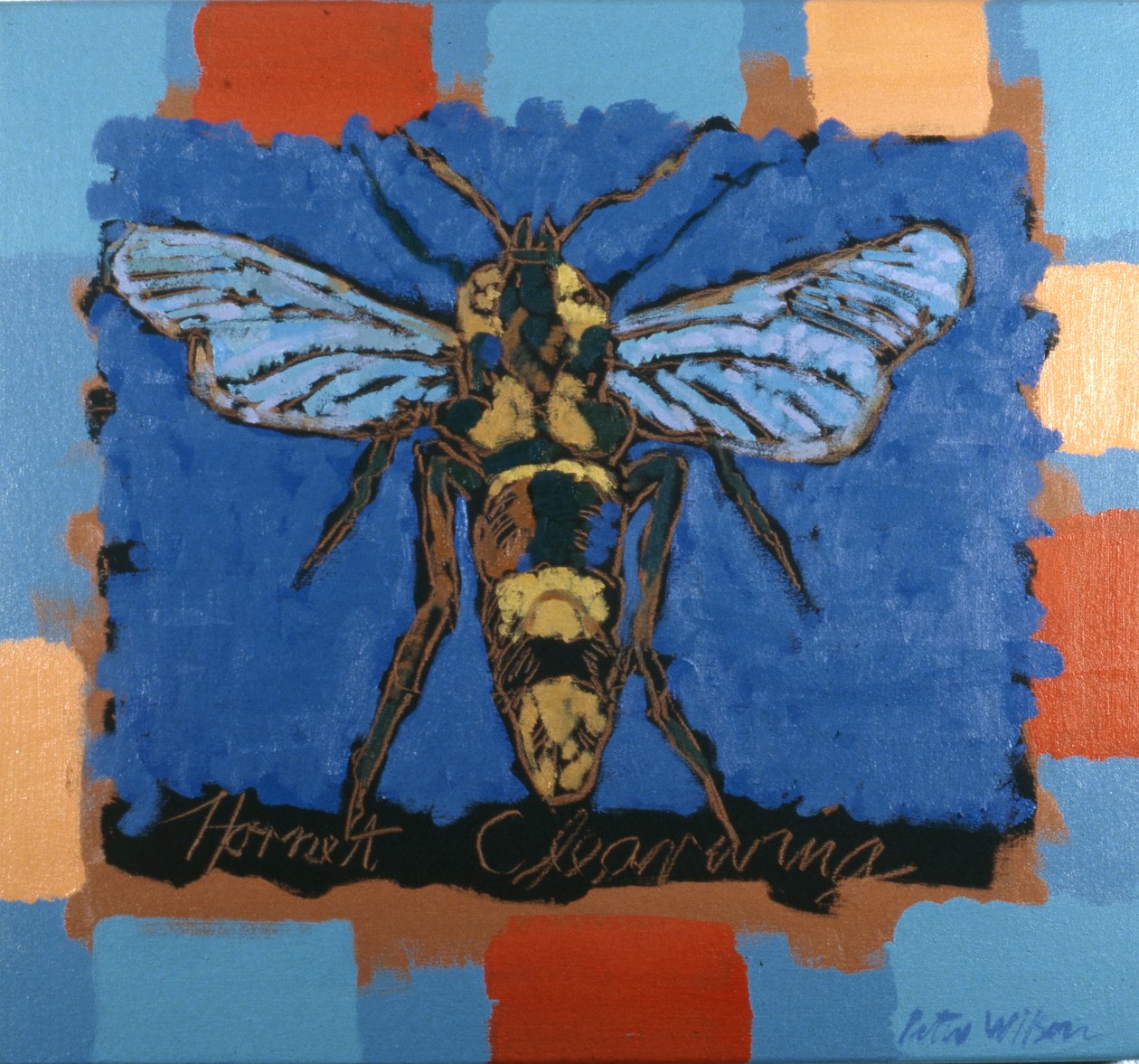 Hornet Clearwing da Peter Wilson