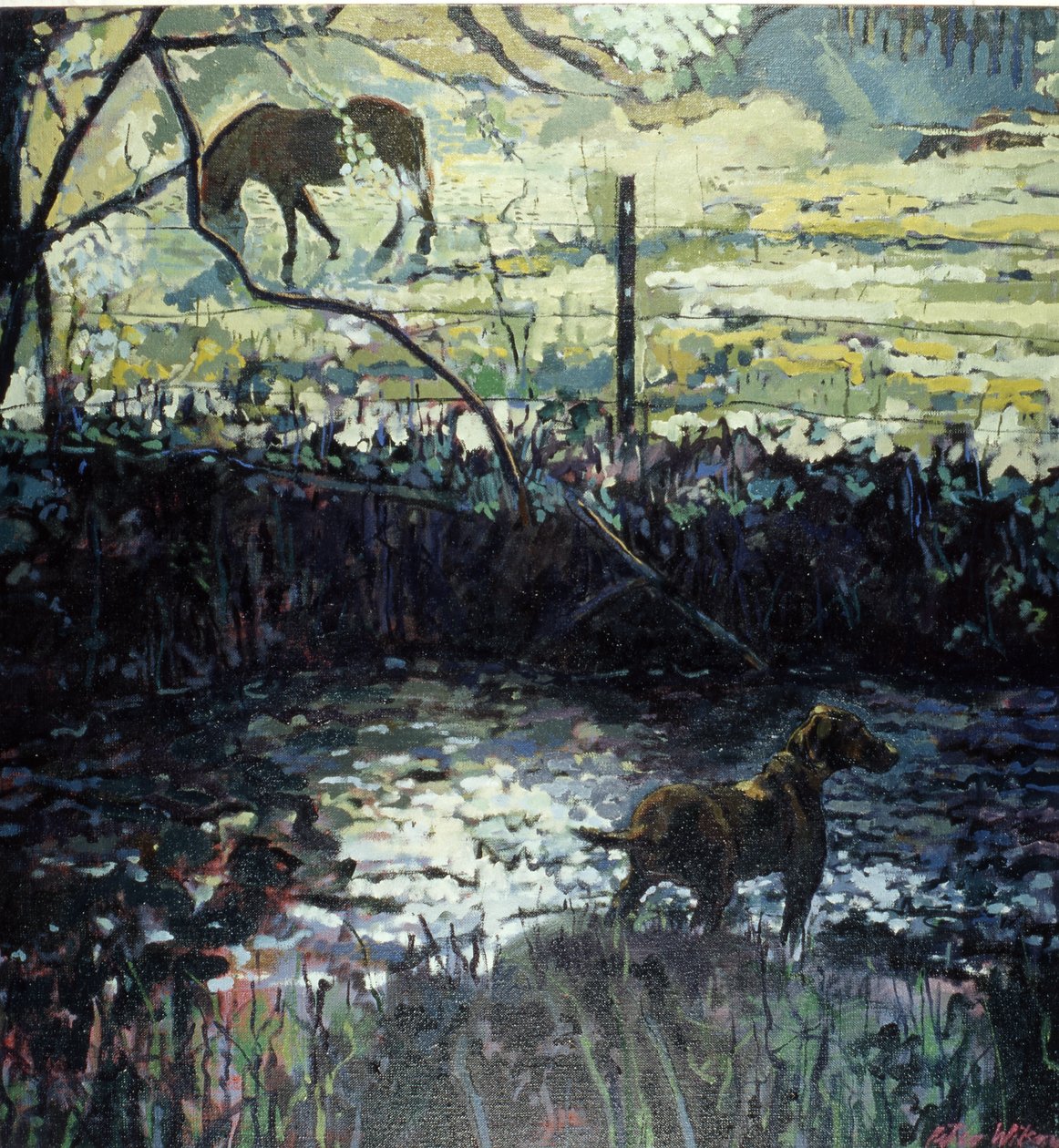 Pony e cane in un campo, 2000 (olio su tela) da Peter Wilson