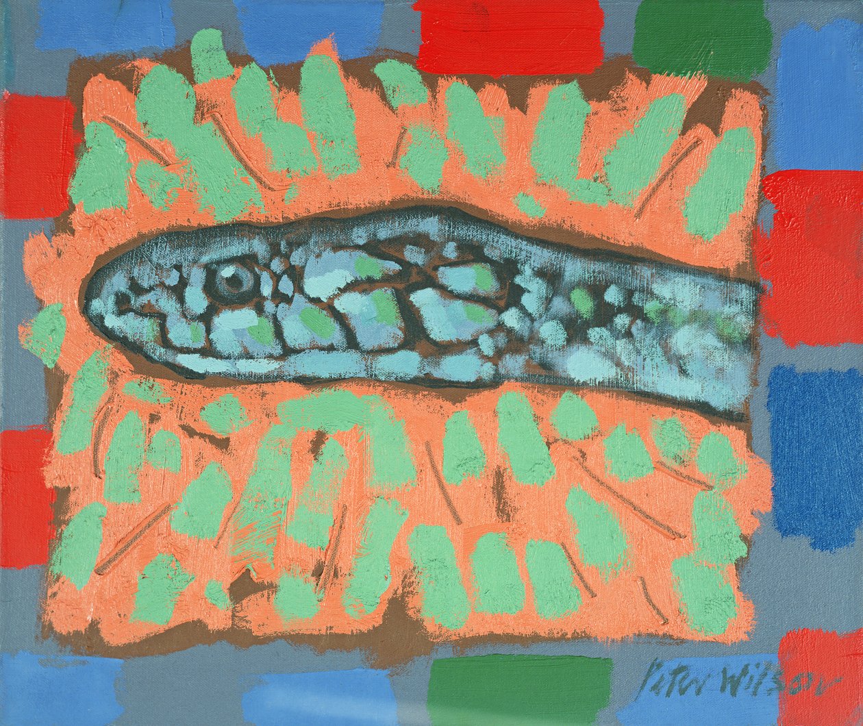 Testa di serpente da Peter Wilson