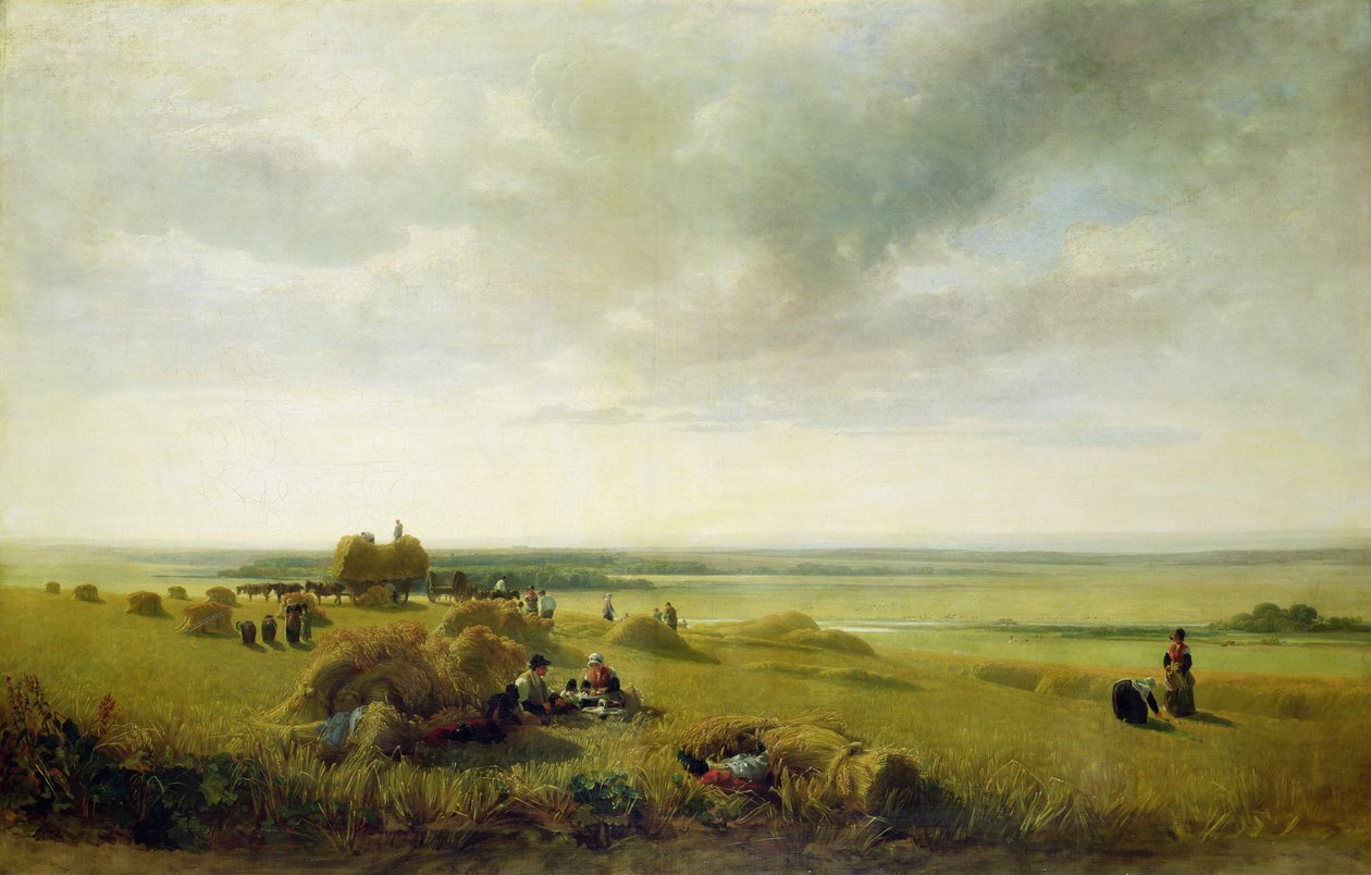 Un campo di grano da Peter de Wint