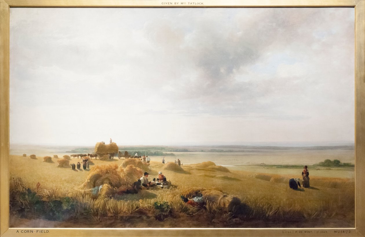 Un campo di grano da Peter de Wint