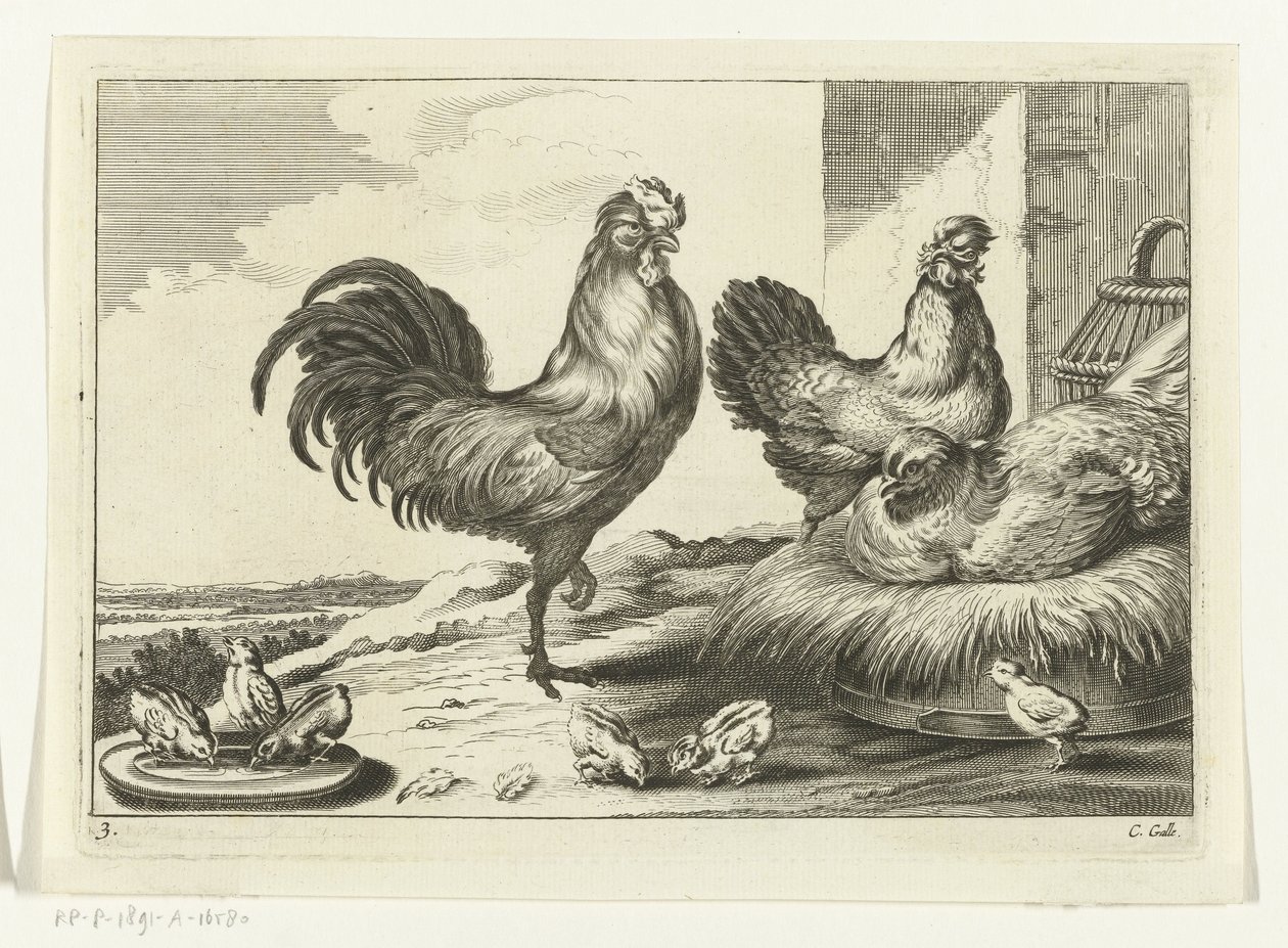 Gallina, galli e pulcini da Peter van Liesebetten