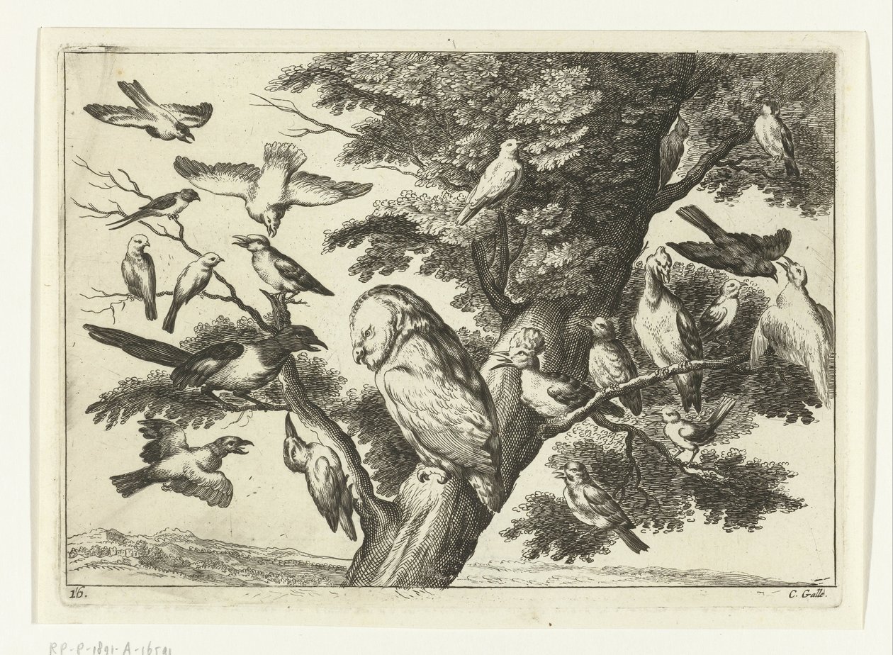Uccelli su un albero da Peter van Liesebetten
