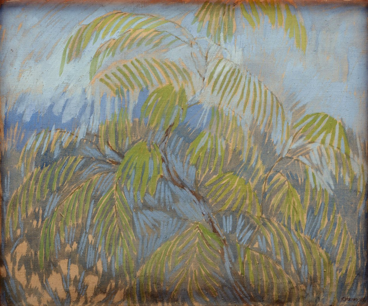 Mimosa da Petr Savvic Utkin