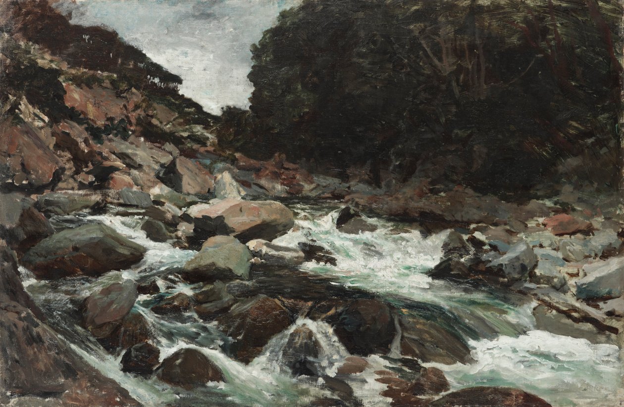 Torrente di montagna, Gola di Otira da Petrus van der Velden