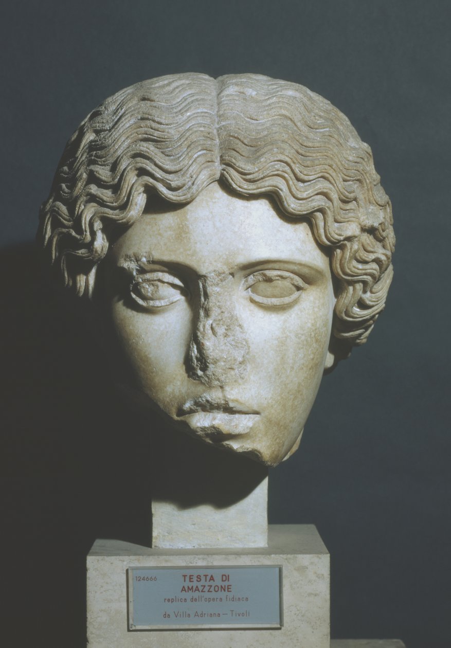 Testa di Amazzone da Phidias Phidias