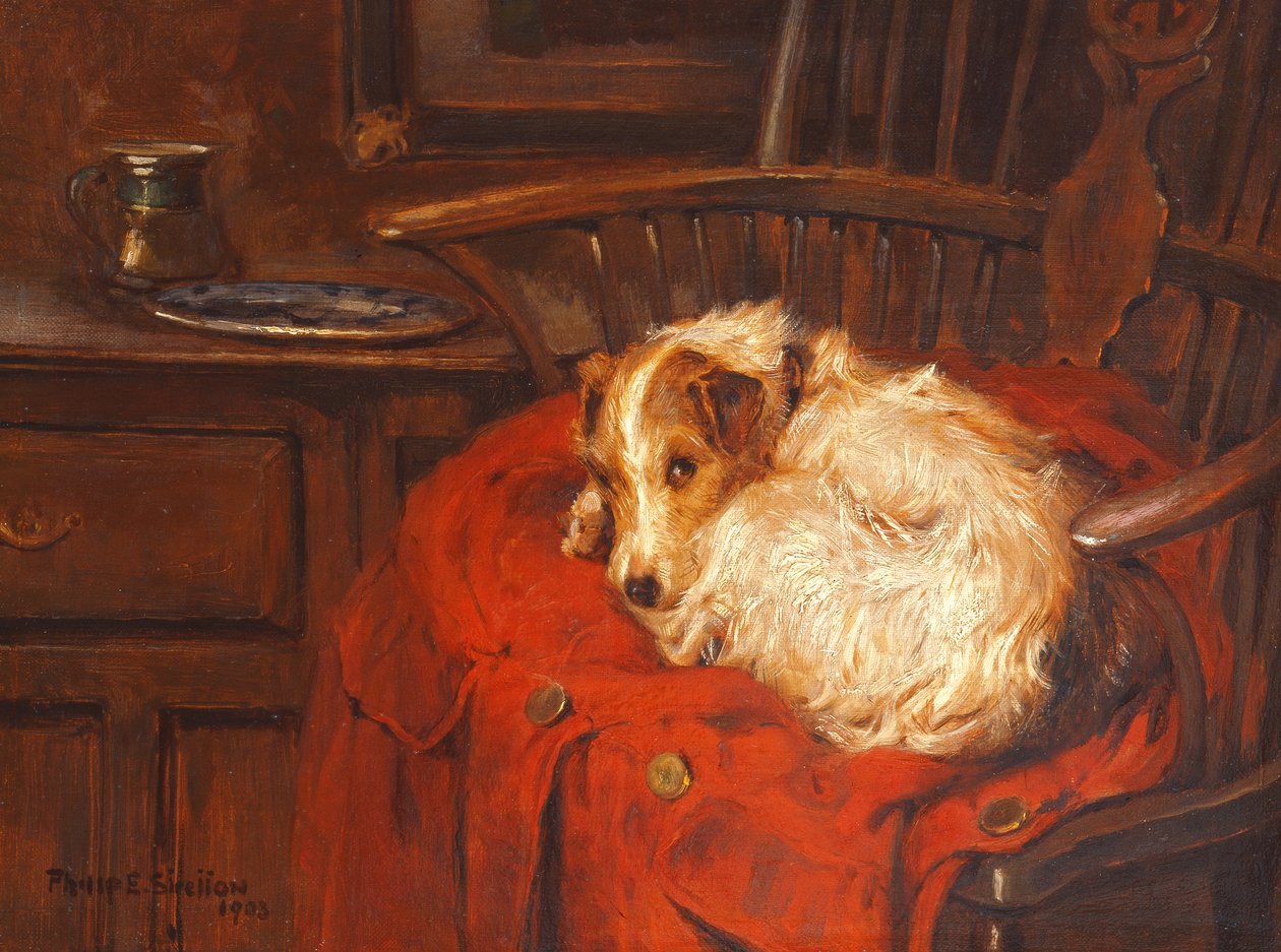 Una sedia preferita, 1903 da Philip Eustace Stretton