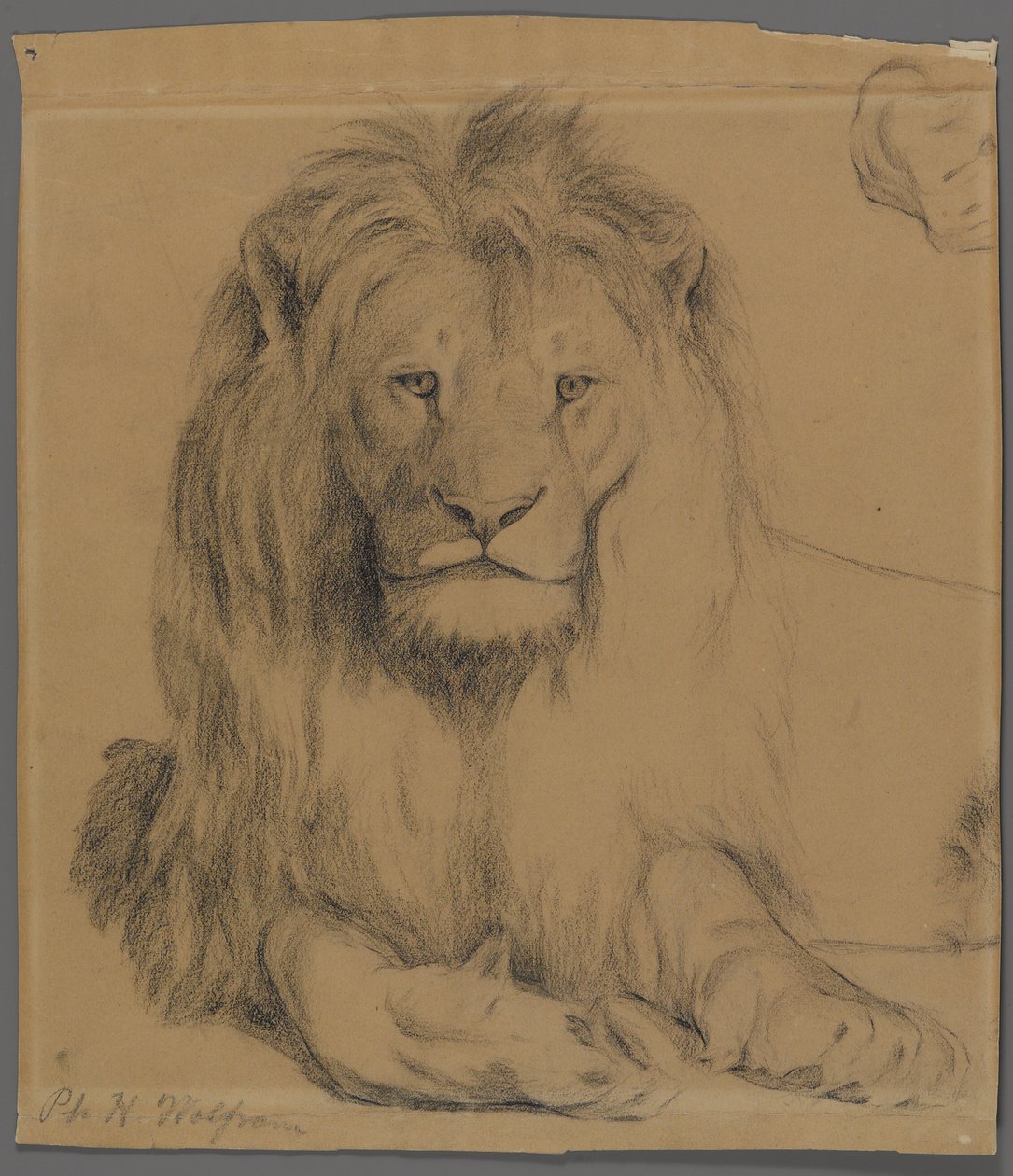 Leone da Philip H. Wolfrom