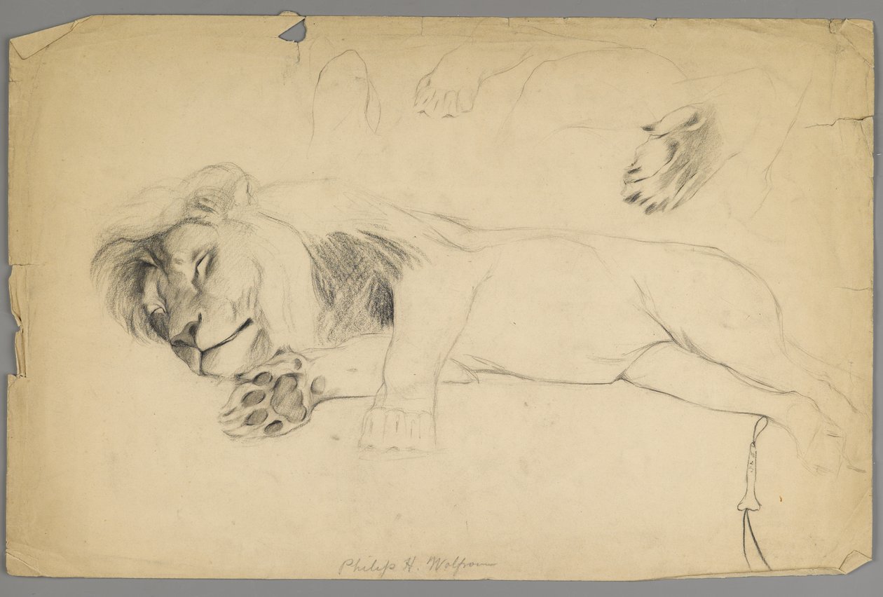 Leone dormiente da Philip H. Wolfrom