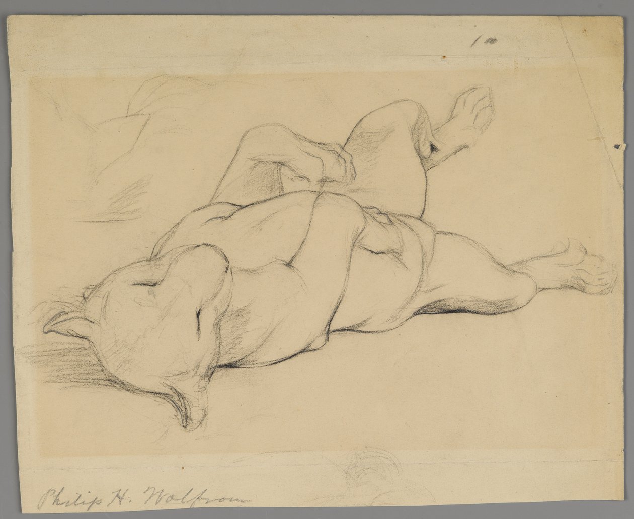 Leonessa dormiente da Philip H. Wolfrom