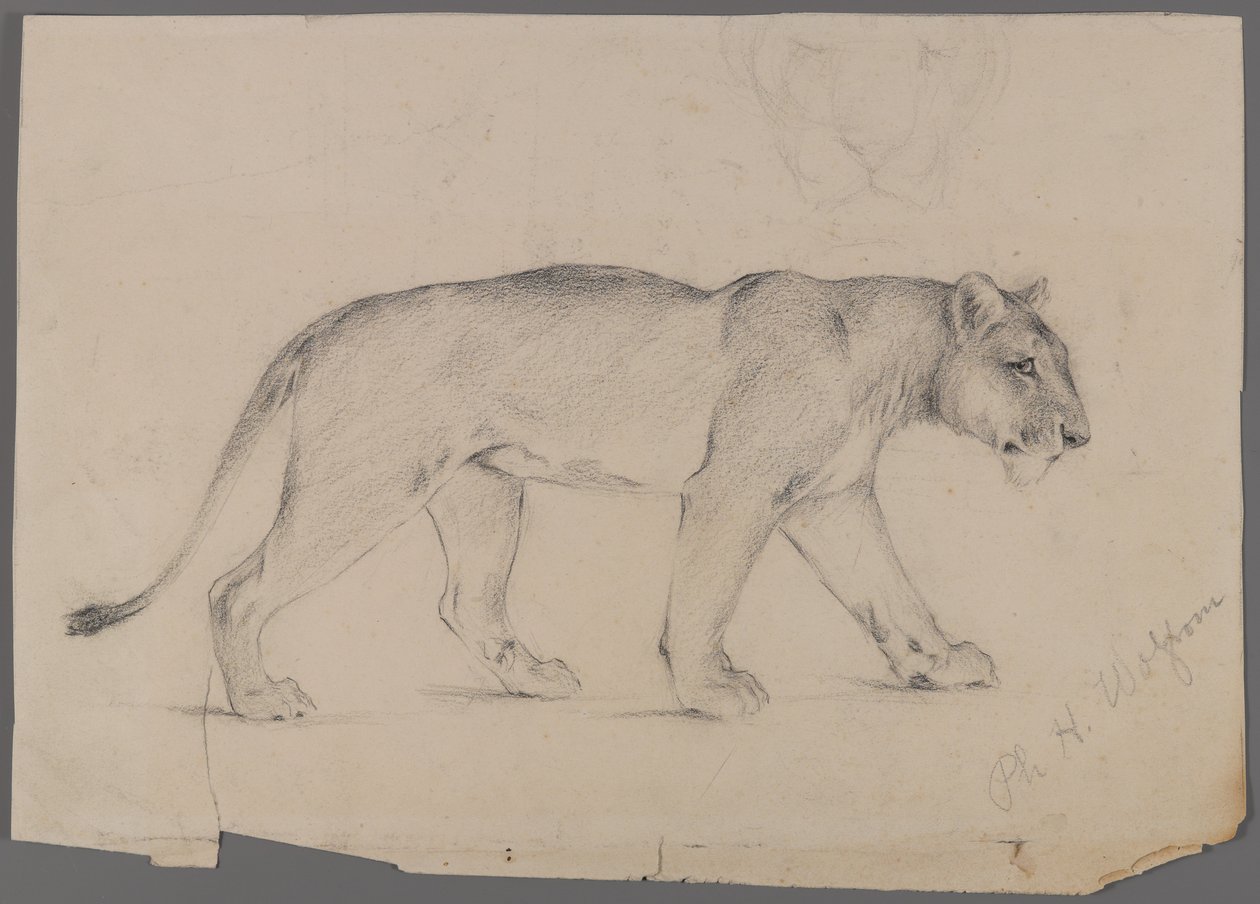 Leonessa in cammino da Philip H. Wolfrom