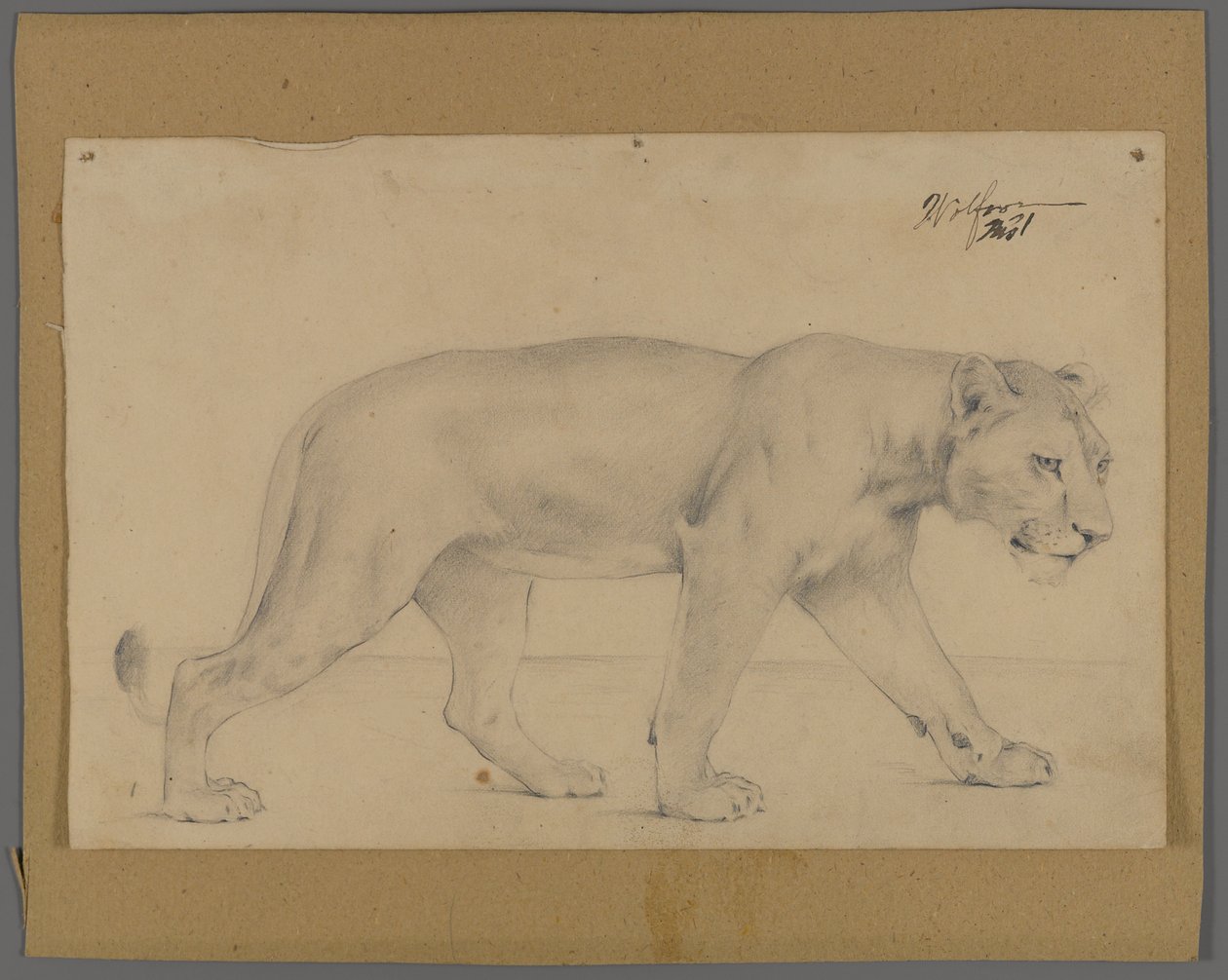 Leonessa in cammino da Philip H. Wolfrom