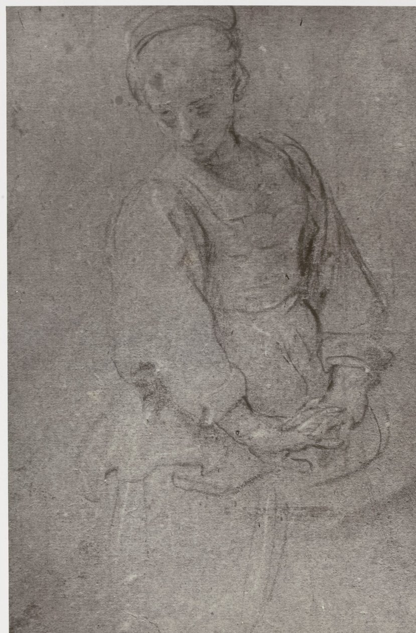 Domenichino, Dolore da Philip Henry Delamotte