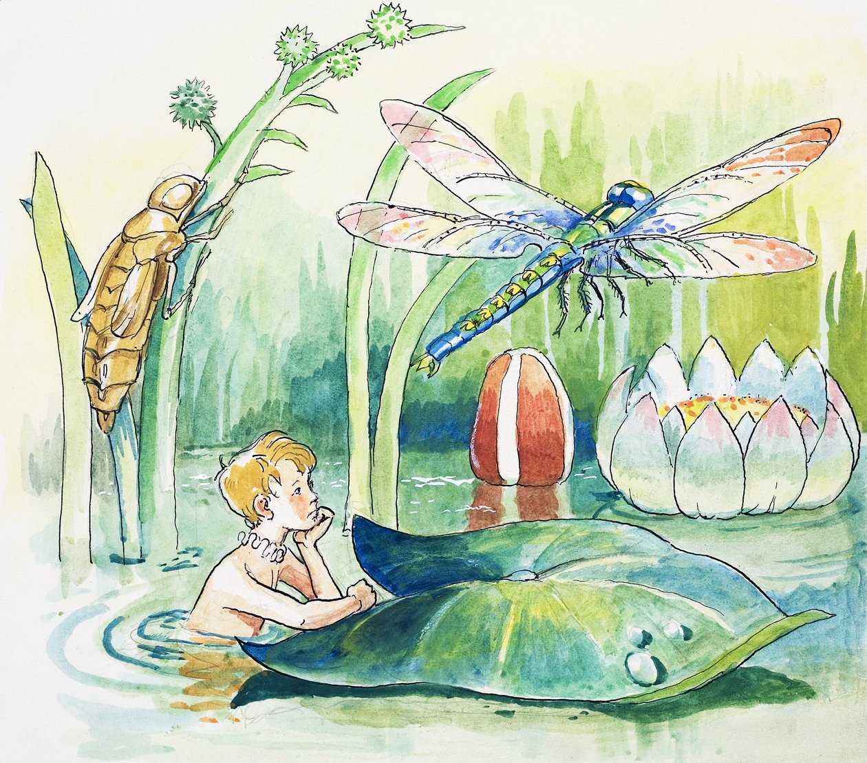 Libellula, illustrazione da "I bambini dell