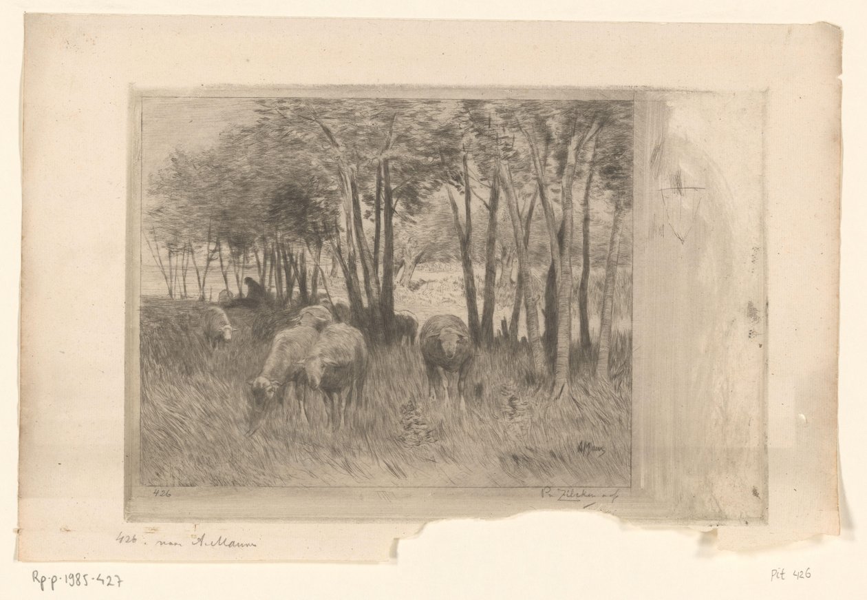 Gregge di pecore e pastore in un prato con alberi da Philip Zilcken (signed by artist)