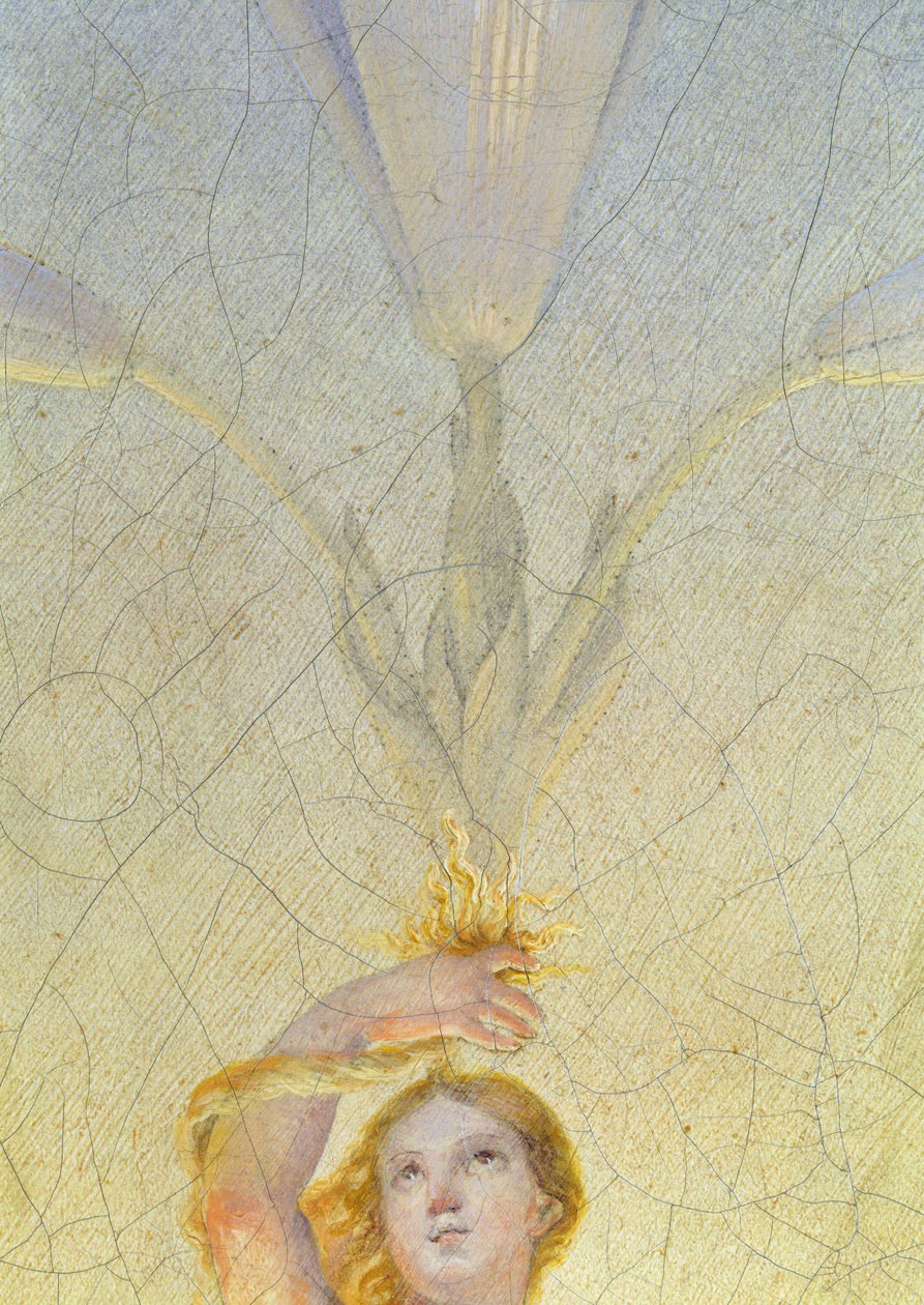 Aurora da 