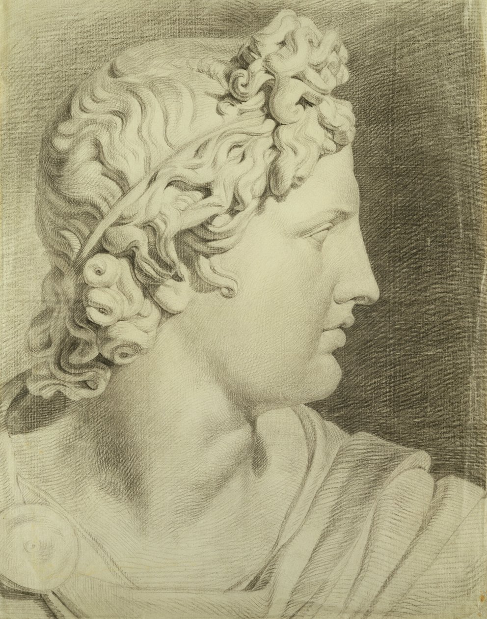 Testa dell