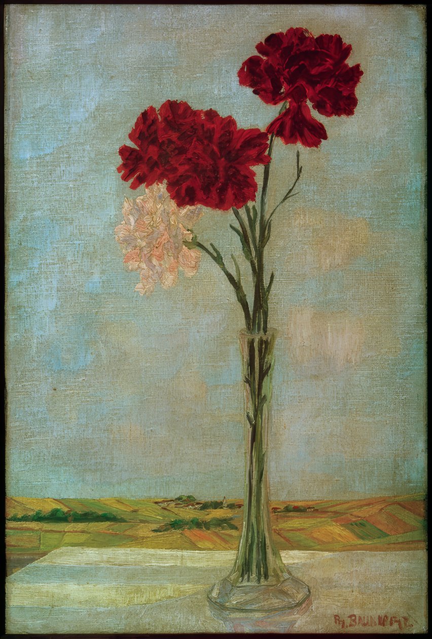 Garofani da Philipp Bauknecht