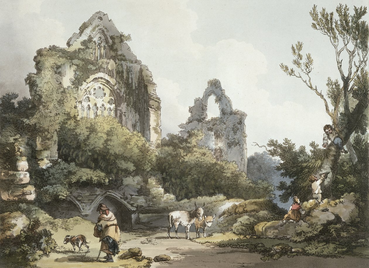 Abbazia di Tintern, da 