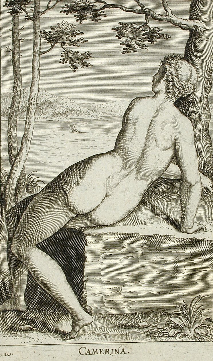 Camerina da Philips Galle